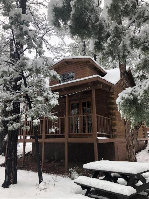 Forest Cabin 2 Birds Nest Payson Exteriér fotografie